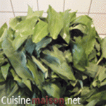 Pesto a l'ail des ours 02 les feuilles Pesto a l'ail des ours Les feuilles