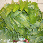 Pesto a l'ail des ours 03 feuilles laver Pesto a l'ail des ours Feuilles laver