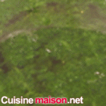 Pesto a l'ail des ours 07 Zoom Pesto a l'ail des ours Zoom